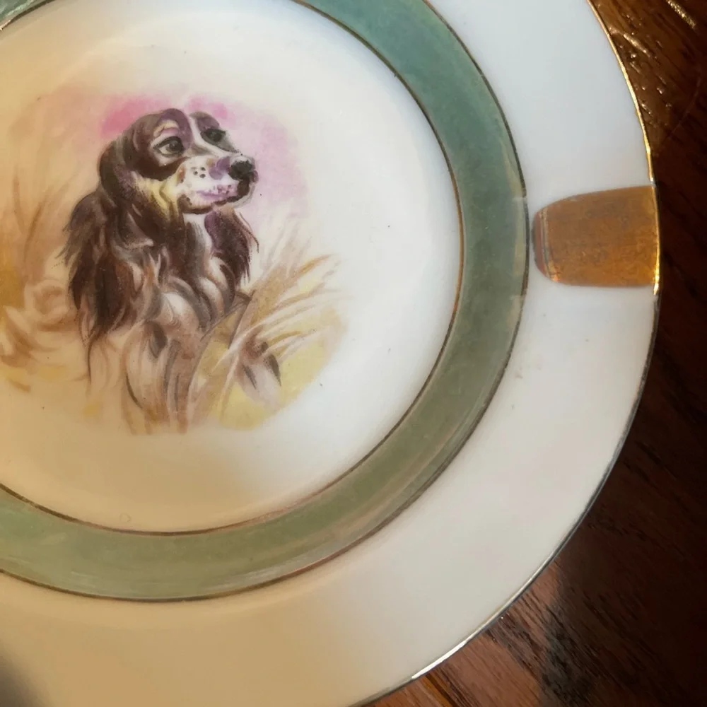 Spaniel Canine Hunting Dog Ashtray Japan Gold Rim 5 5/8”diameter Luster Ware